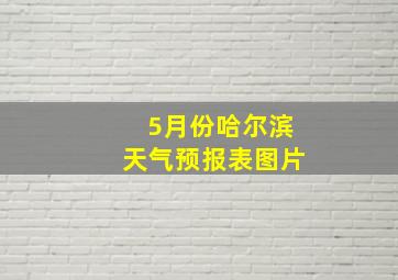 5月份哈尔滨天气预报表图片