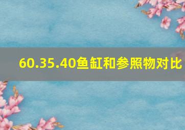 60.35.40鱼缸和参照物对比