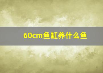 60cm鱼缸养什么鱼