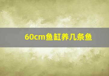 60cm鱼缸养几条鱼