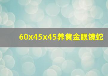 60x45x45养黄金眼镜蛇