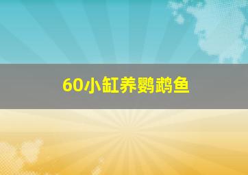 60小缸养鹦鹉鱼