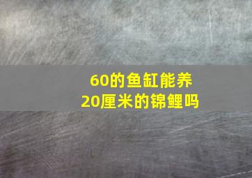 60的鱼缸能养20厘米的锦鲤吗