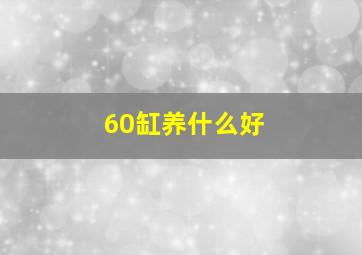 60缸养什么好