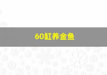 60缸养金鱼