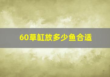 60草缸放多少鱼合适