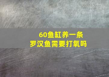 60鱼缸养一条罗汉鱼需要打氧吗