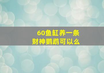 60鱼缸养一条财神鹦鹉可以么