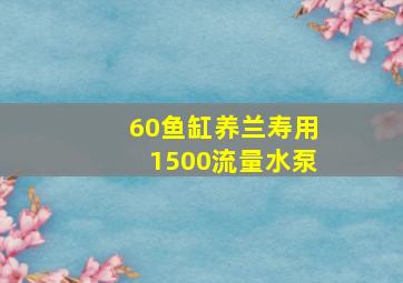 60鱼缸养兰寿用1500流量水泵