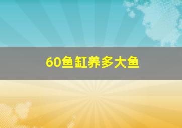 60鱼缸养多大鱼