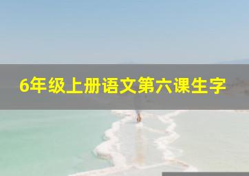 6年级上册语文第六课生字