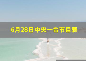 6月28日中央一台节目表