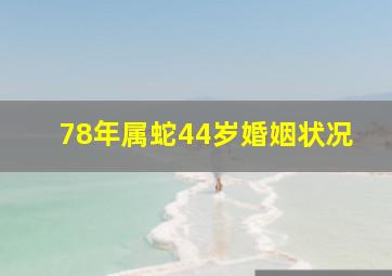 78年属蛇44岁婚姻状况