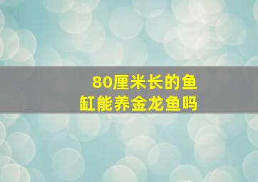 80厘米长的鱼缸能养金龙鱼吗