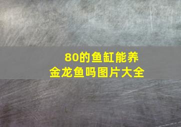 80的鱼缸能养金龙鱼吗图片大全