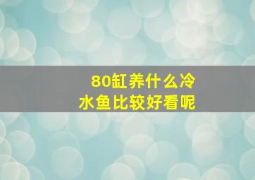 80缸养什么冷水鱼比较好看呢