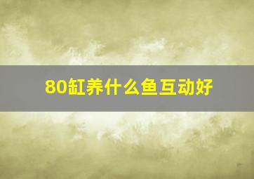 80缸养什么鱼互动好