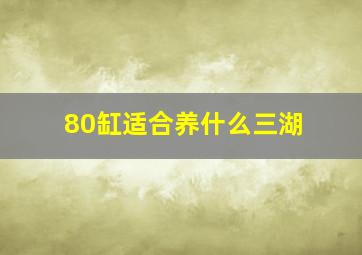 80缸适合养什么三湖