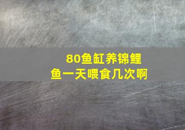 80鱼缸养锦鲤鱼一天喂食几次啊