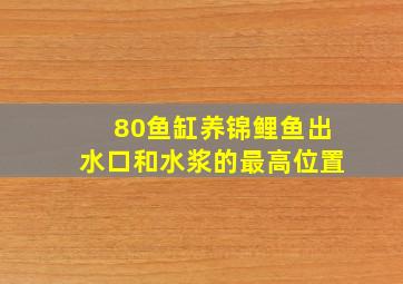 80鱼缸养锦鲤鱼出水口和水浆的最高位置