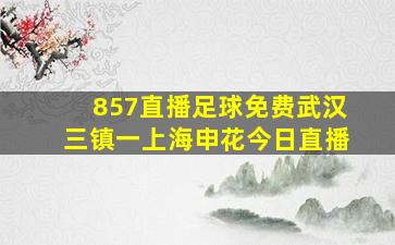 857直播足球免费武汉三镇一上海申花今日直播