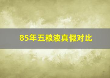 85年五粮液真假对比