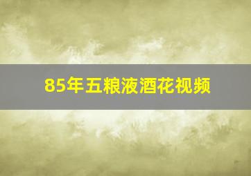 85年五粮液酒花视频