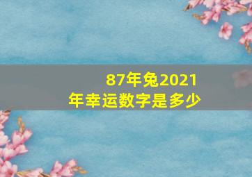 87年兔2021年幸运数字是多少