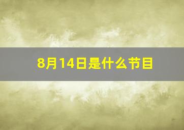 8月14日是什么节目