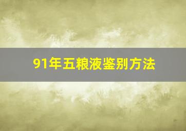 91年五粮液鉴别方法