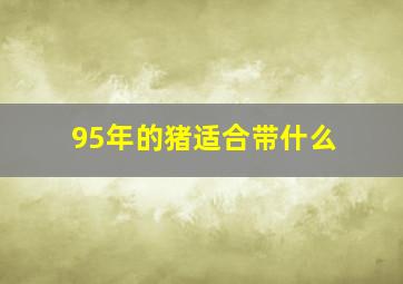 95年的猪适合带什么