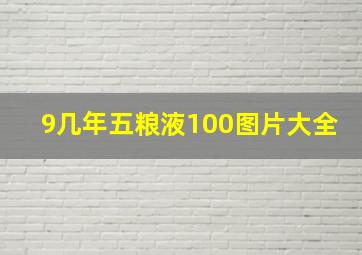 9几年五粮液100图片大全