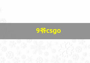 9爷csgo