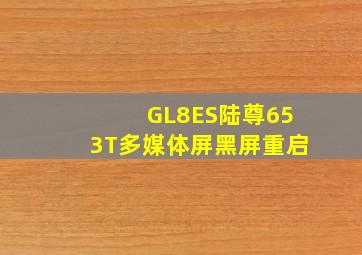 GL8ES陆尊653T多媒体屏黑屏重启