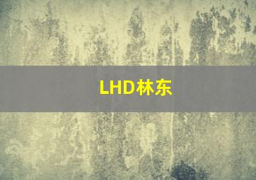 LHD林东