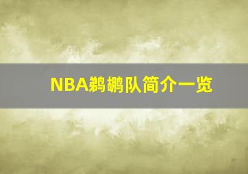 NBA鹈鹕队简介一览