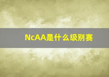 NcAA是什么级别赛