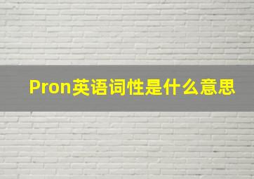 Pron英语词性是什么意思