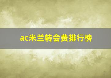 ac米兰转会费排行榜