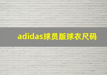 adidas球员版球衣尺码