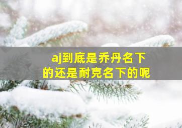 aj到底是乔丹名下的还是耐克名下的呢