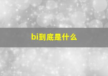 bi到底是什么