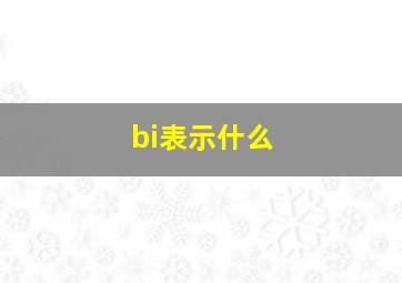 bi表示什么