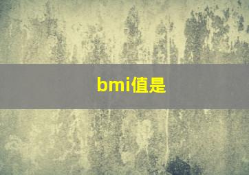 bmi值是