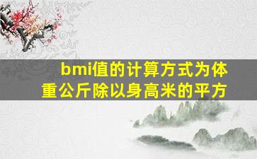 bmi值的计算方式为体重公斤除以身高米的平方