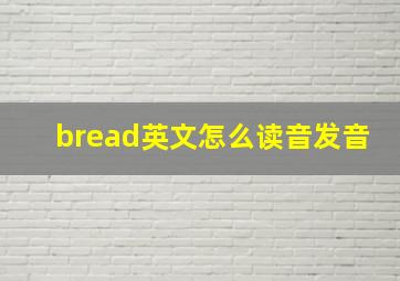 bread英文怎么读音发音