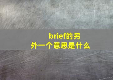 brief的另外一个意思是什么