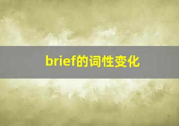 brief的词性变化