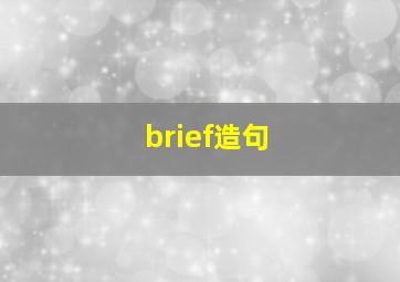 brief造句