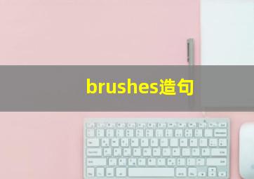 brushes造句